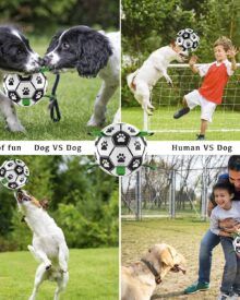 DURABLE TRAINING BALL FOR DOGS + Pump(free)