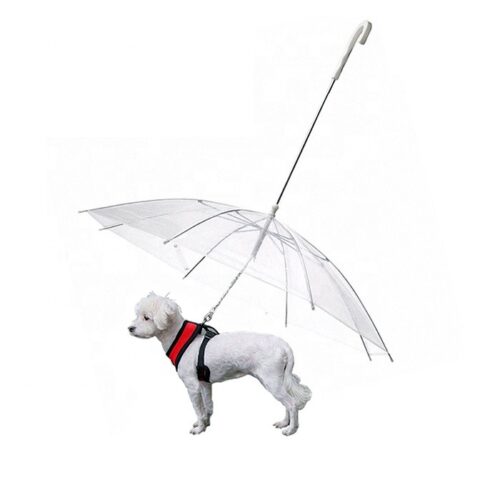 umbrella with leash for dogs