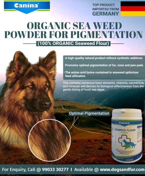 Canina Organic Seaweed Powder Info