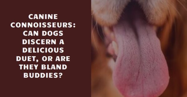 Read more about the article Can Dogs Taste?: Delicious Munchers, or are They Bland Buddies?