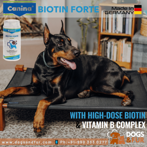 Canina Biotin Forte Powder1