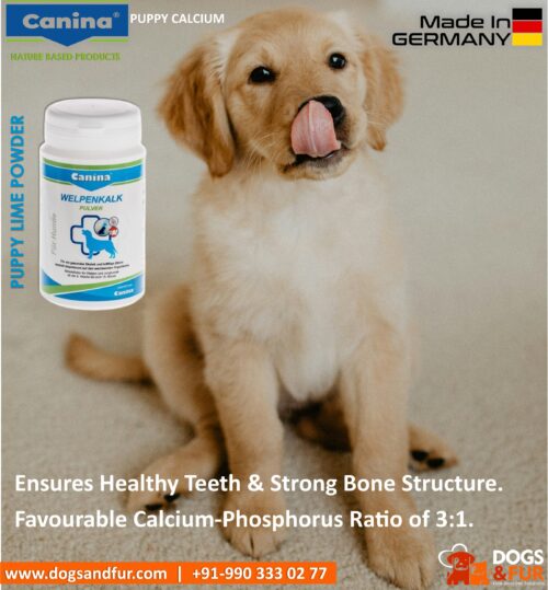 Canina Puppy Lime Powder