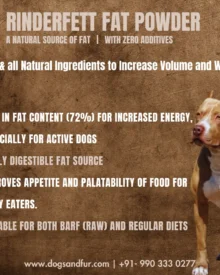 Canina RINDERFETT FAT Powder – Natural Source of Energy & Fat for Dogs and Cats