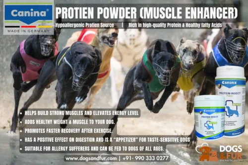 Canina INSECT PROTEIN POWDER