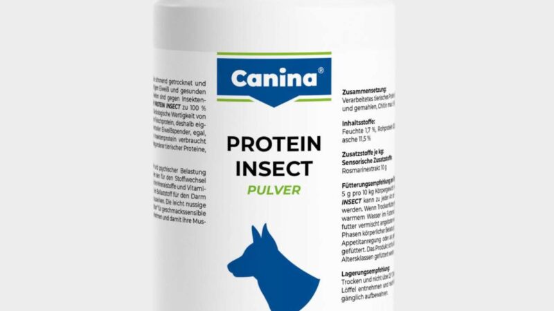 Canina Insect Protein