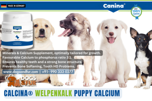 Canina Puppy Calcium Tablet
