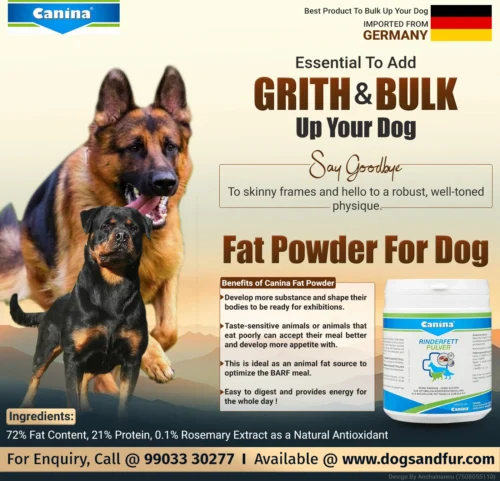 Canina RINDERFETT FAT POWDER