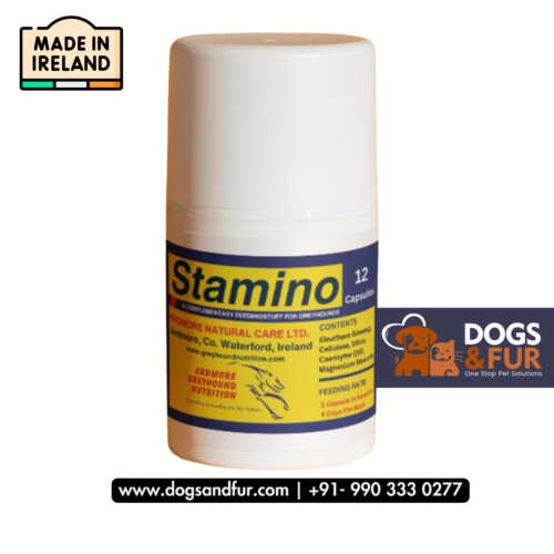 STAMINO FOR DOGS
