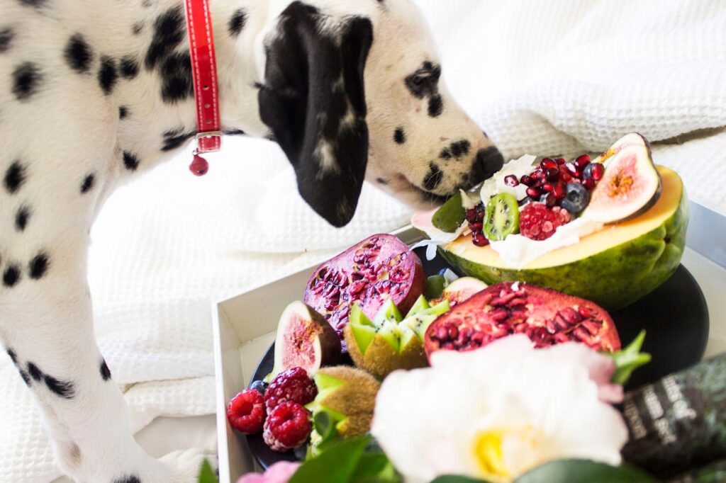 A happy dog eating from a bowl, illustrating essential Dog Diet Rules