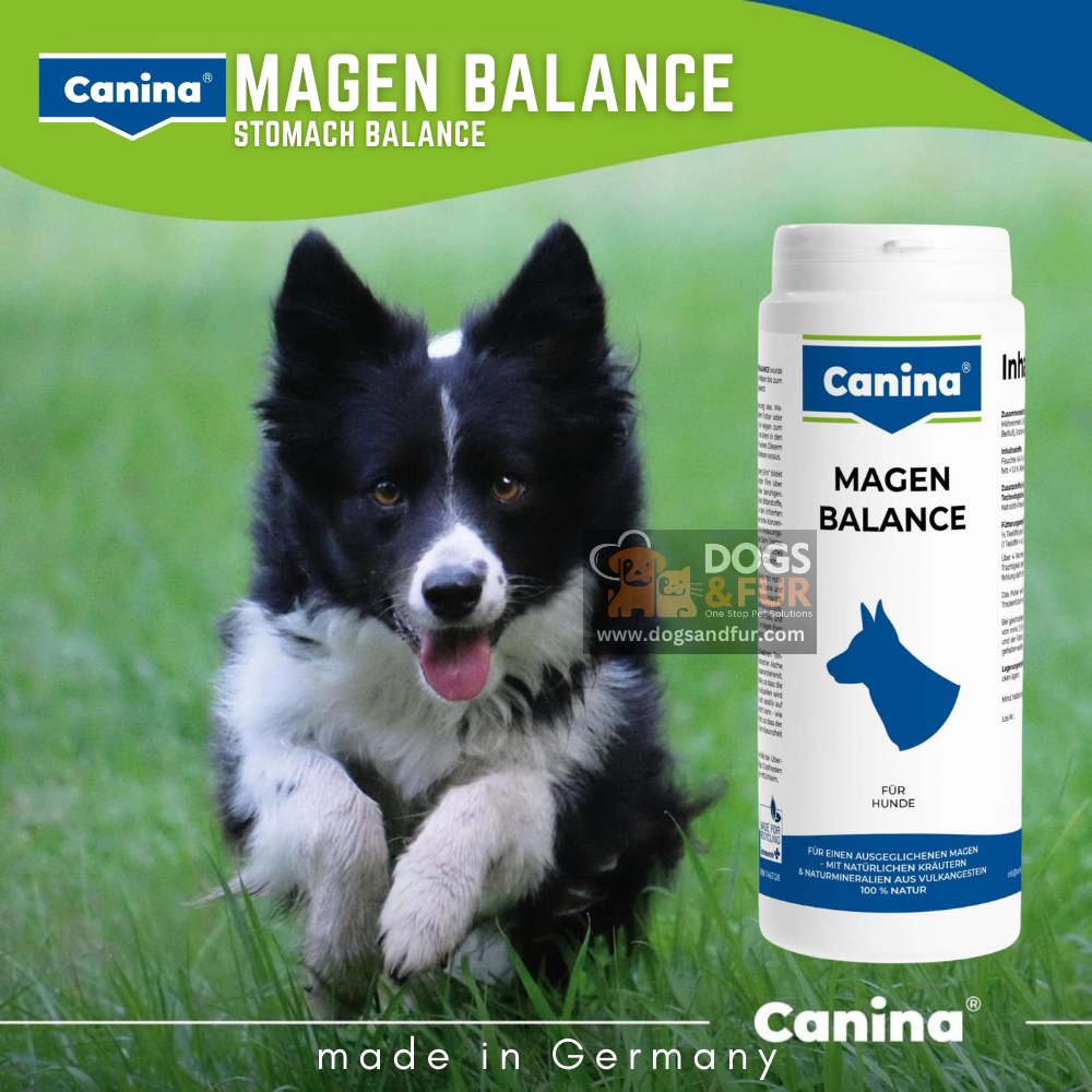 Canina Stomach Balance for Dogs