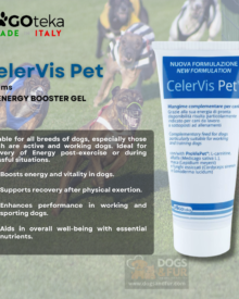 CelerVis Pet