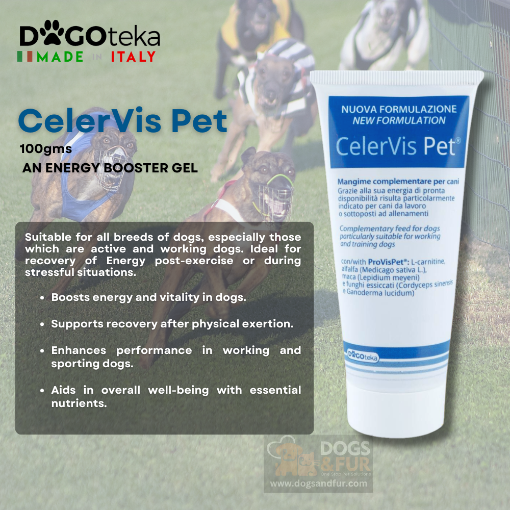 CelerVis Pet - Image 2