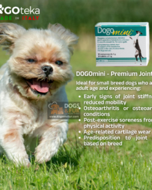 DOGOmini