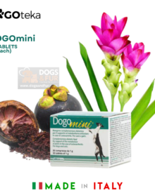 DOGOmini