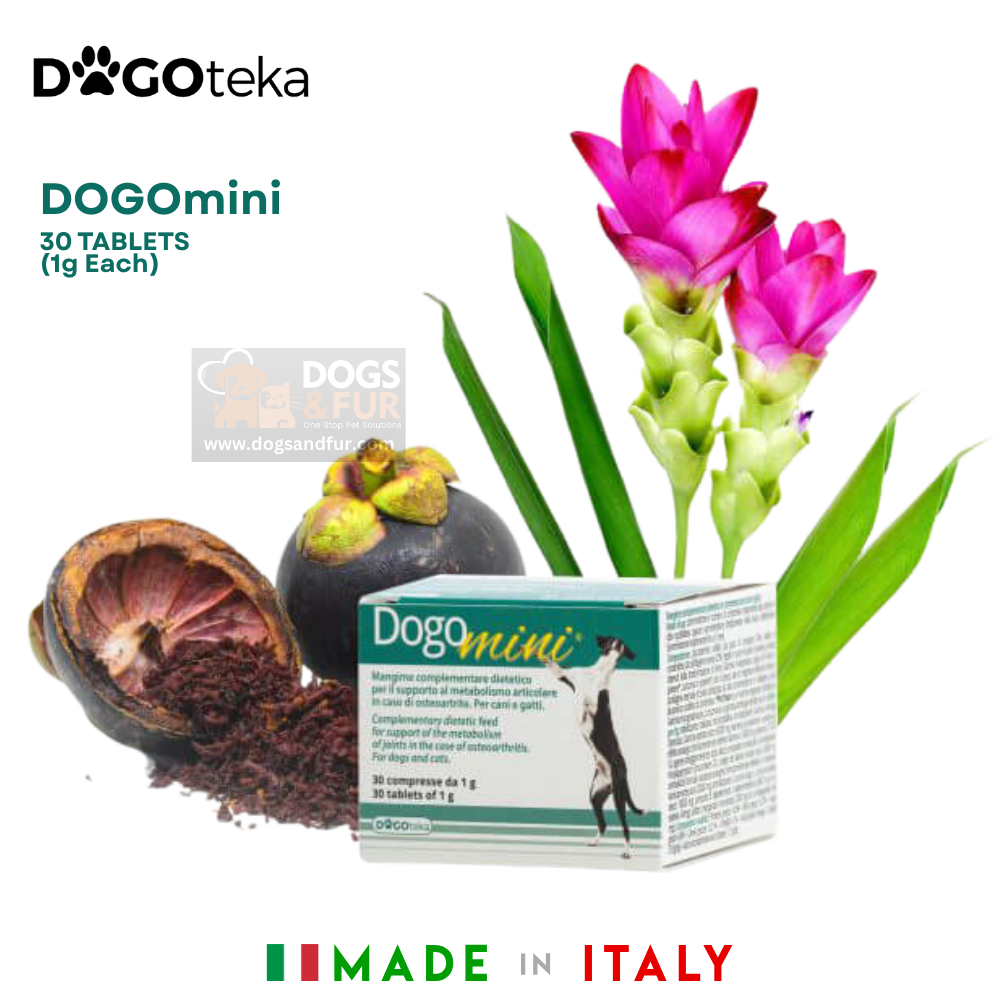 DOGOmini joint supplement for small dogs by Dogoteka