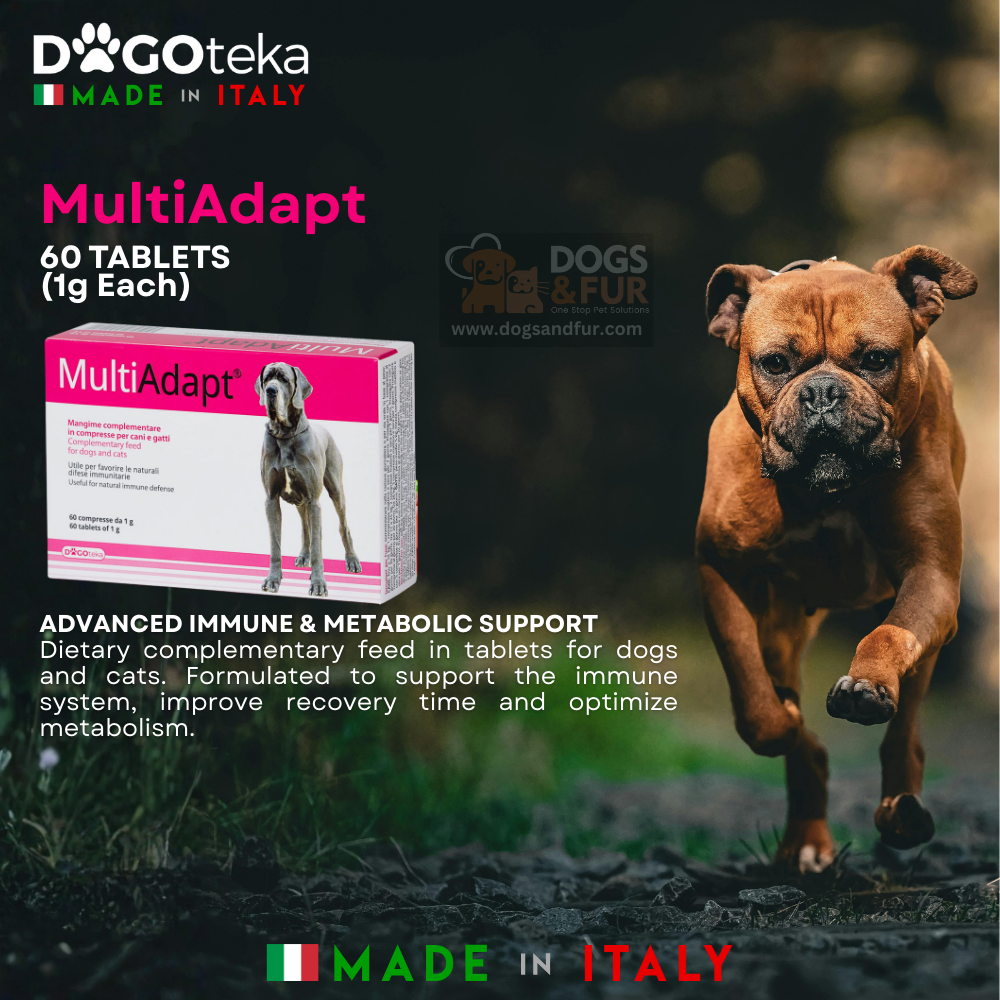 DOGOteka MultiAdapt