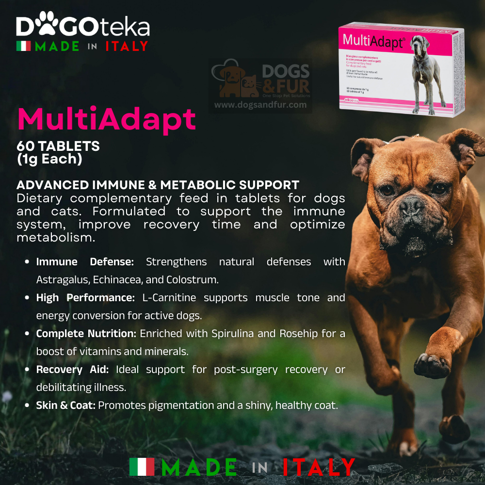 MultiAdapt - Image 3