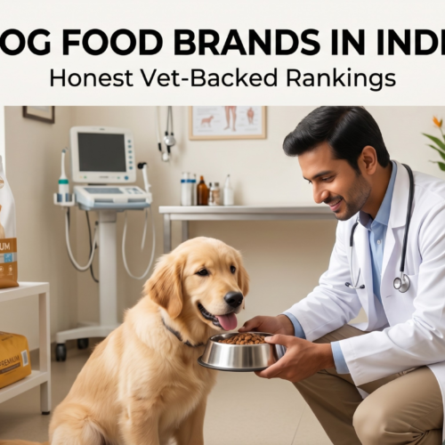 Best Dog Food Brands in India 2026: Honest Vet-Backed Rankings
